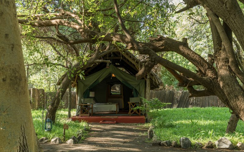 Natron River Camp