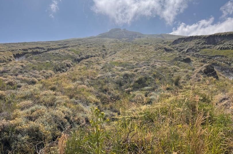 Meera. Looking up at Mt Ol Doinyo Lengai