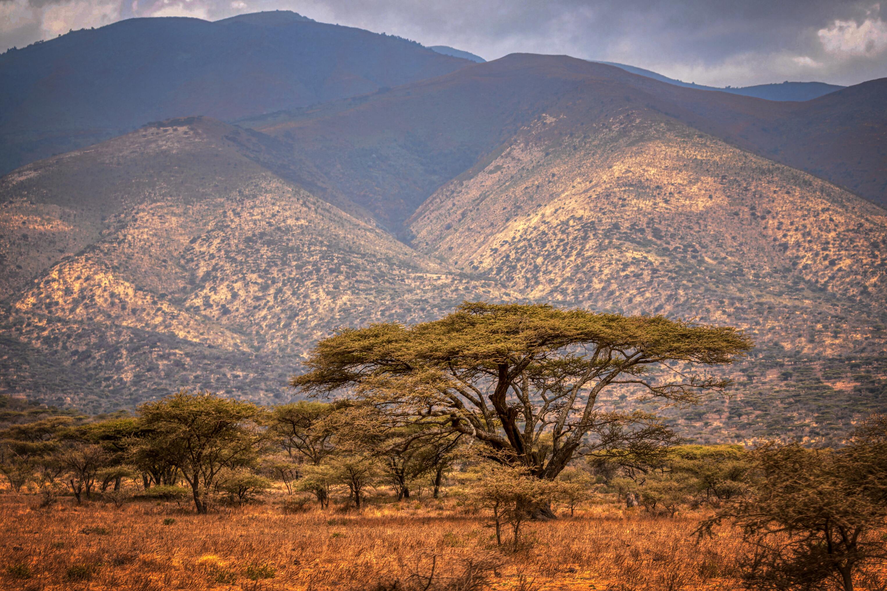 Ours. S. Ngorongoro Conservation Area landscape