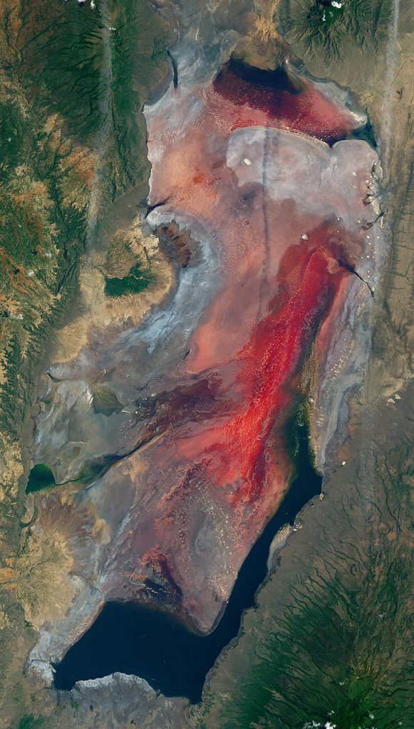Lake-NAtron-aerial-view-581x1024.jpeg