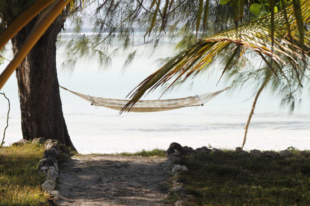 Hammock-in-Zanzibar-1024x683.jpg