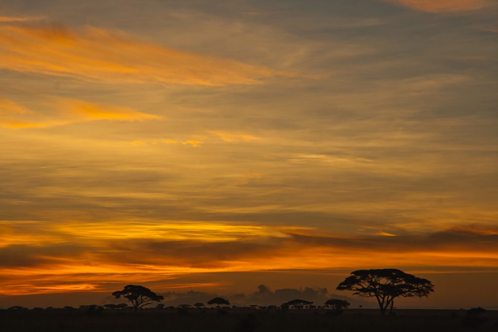 Serengeti-sunset-1024x683.jpg
