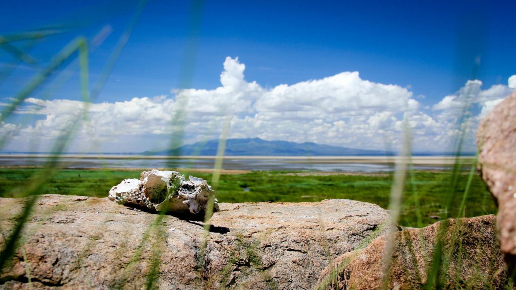 Lake-Manyara-1-1024x576.jpg
