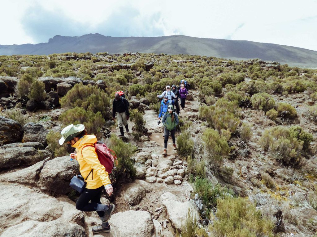 Group-of-hikers-exploring-Kilimanjaro-1-1024x768.jpg