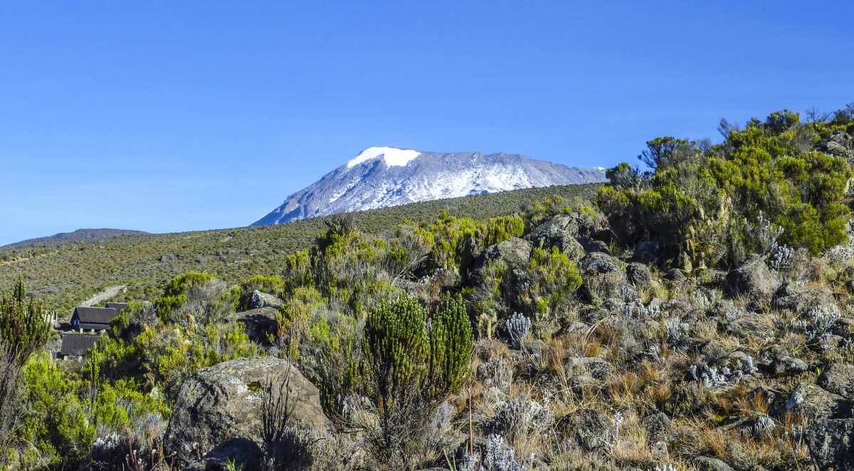Mount Kilimanjaro