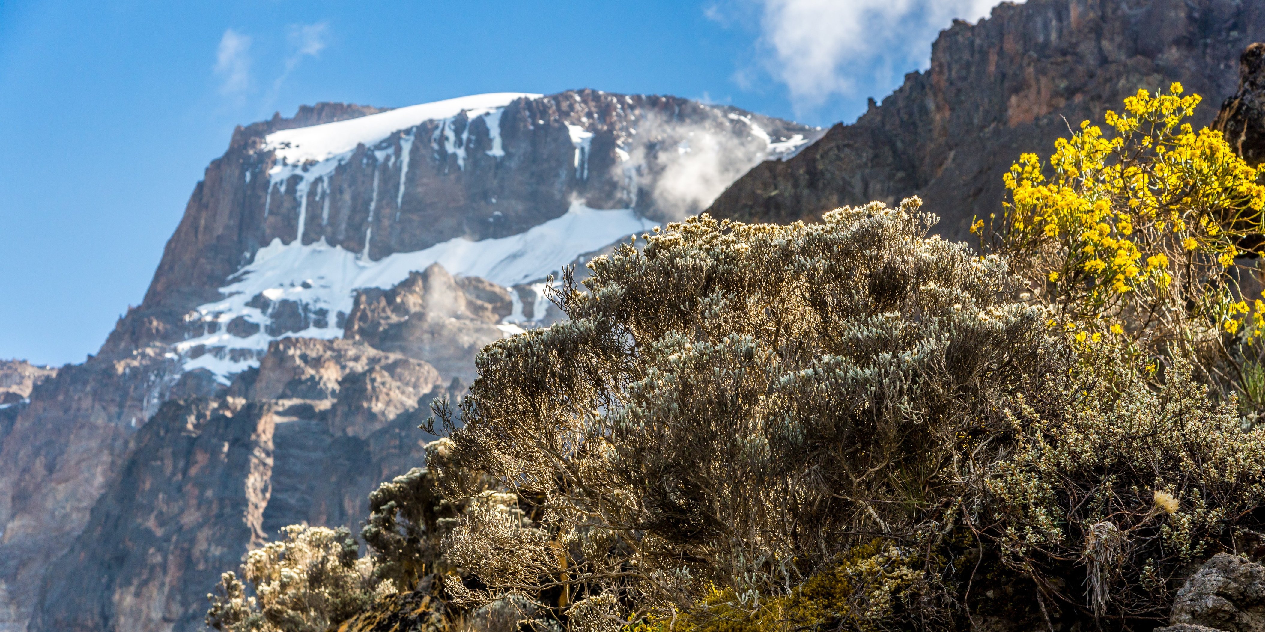 Kilimanjaro