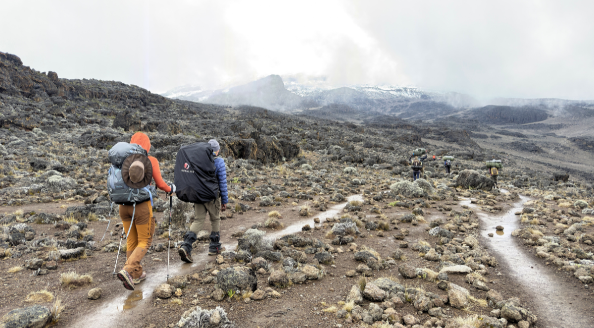 Kilimanjaro