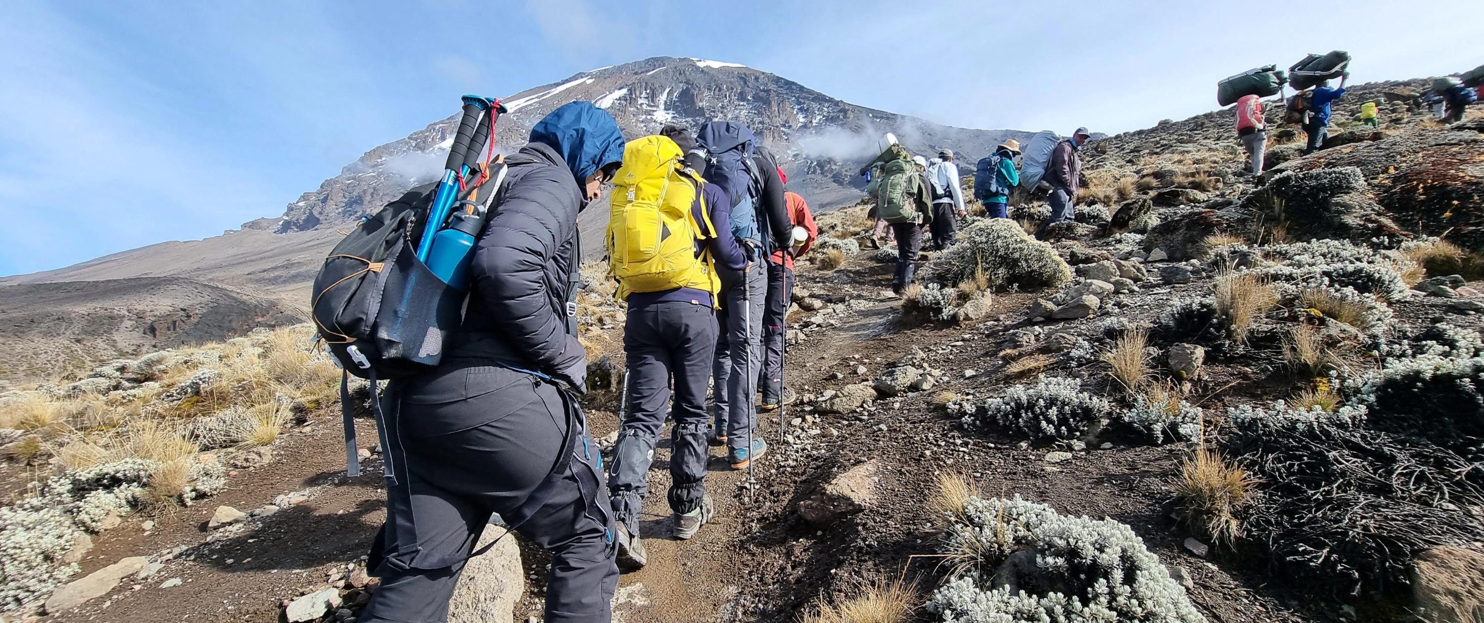 Kilimanjaro