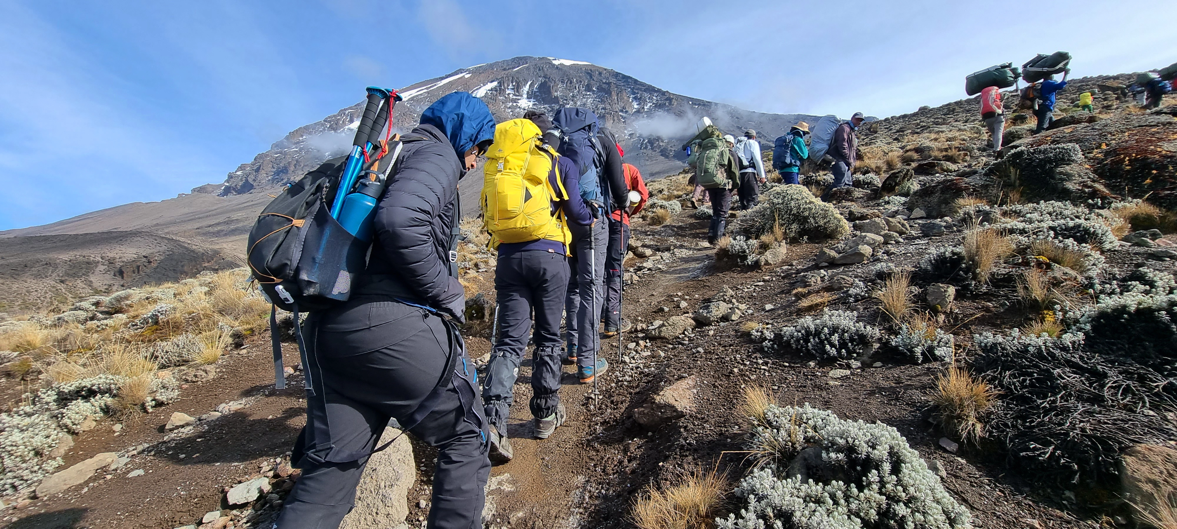 Mount Kilimanjaro trekkers