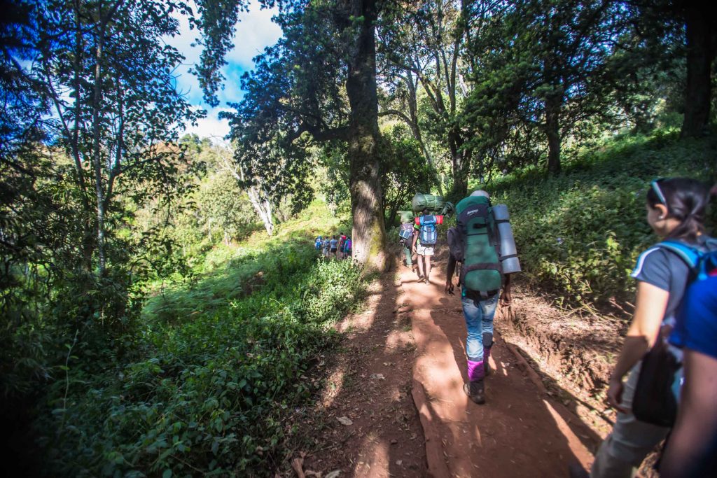 Hiking-down-Kilimanjaro-route-1024x683.jpg