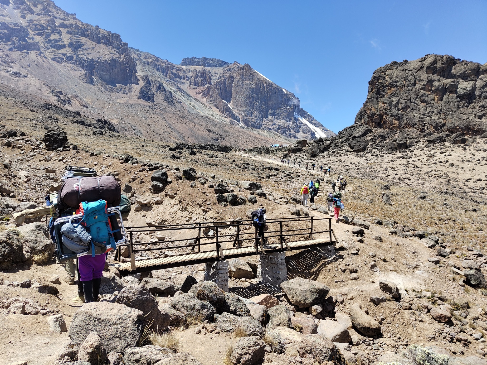 Frederik Mann. S. Porters en route to Lava Tower, Kilimanjaro