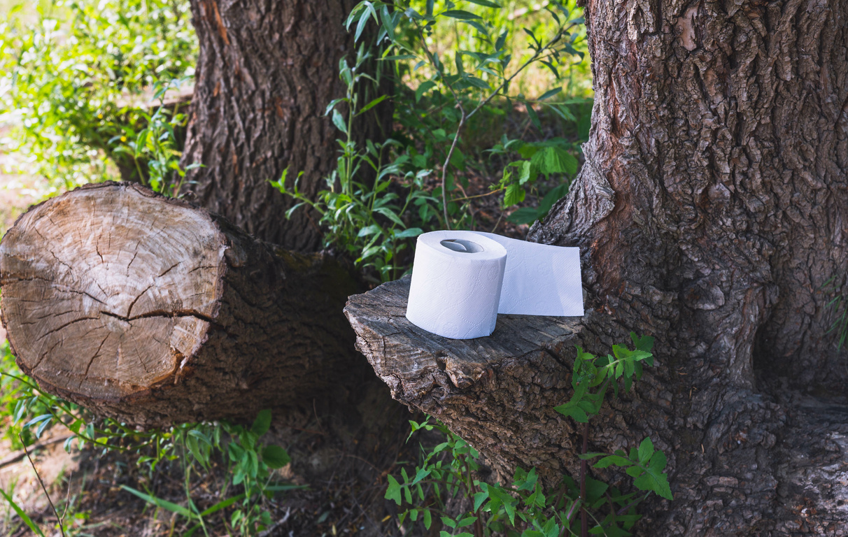 Ours. S. Toilet paper on a tree stump