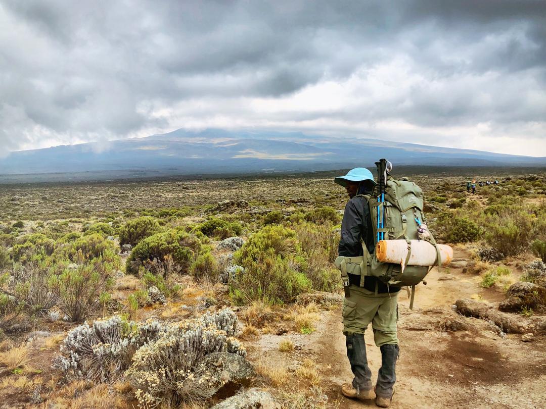 Kilimanjaro trekker moorland