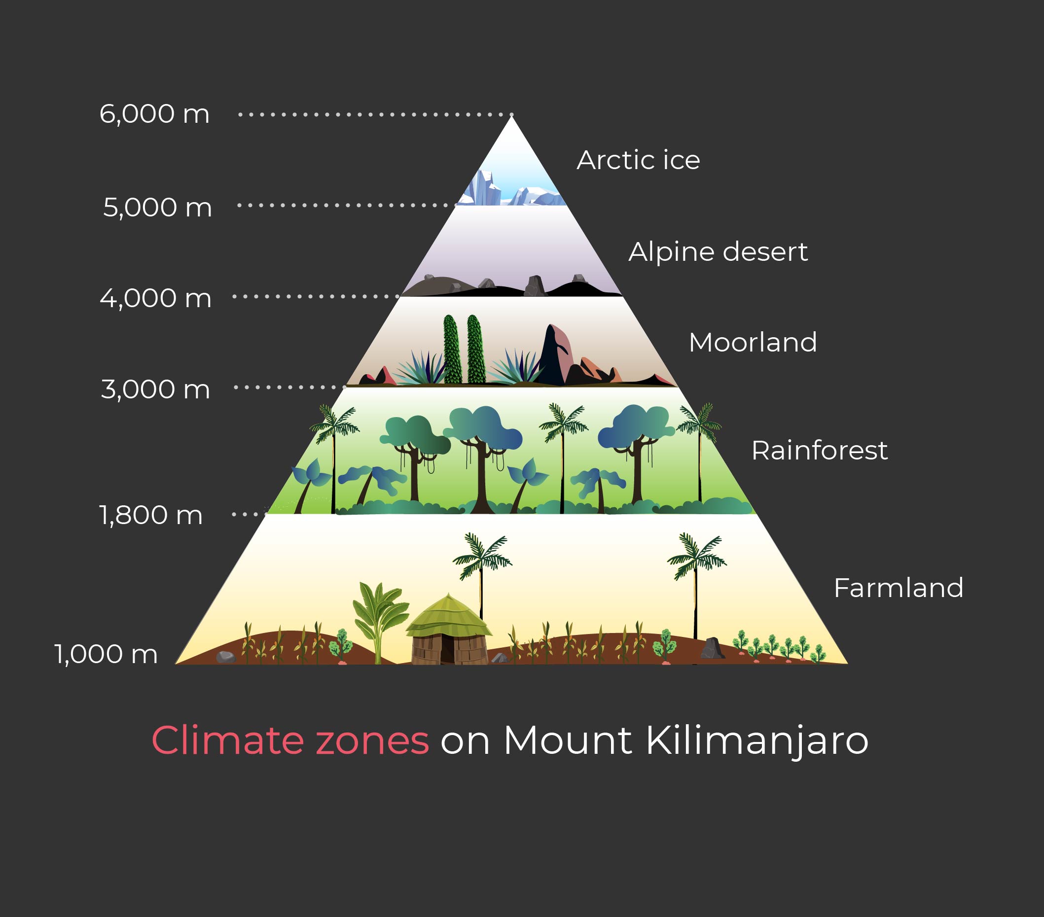 Climate-Zones-Kilimanjaro-graphic