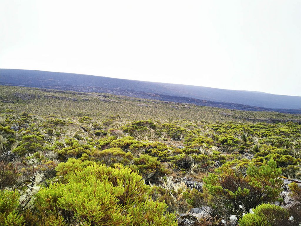 View-from-Mweka-Camp-Kilimanjaro-1024x768.jpg