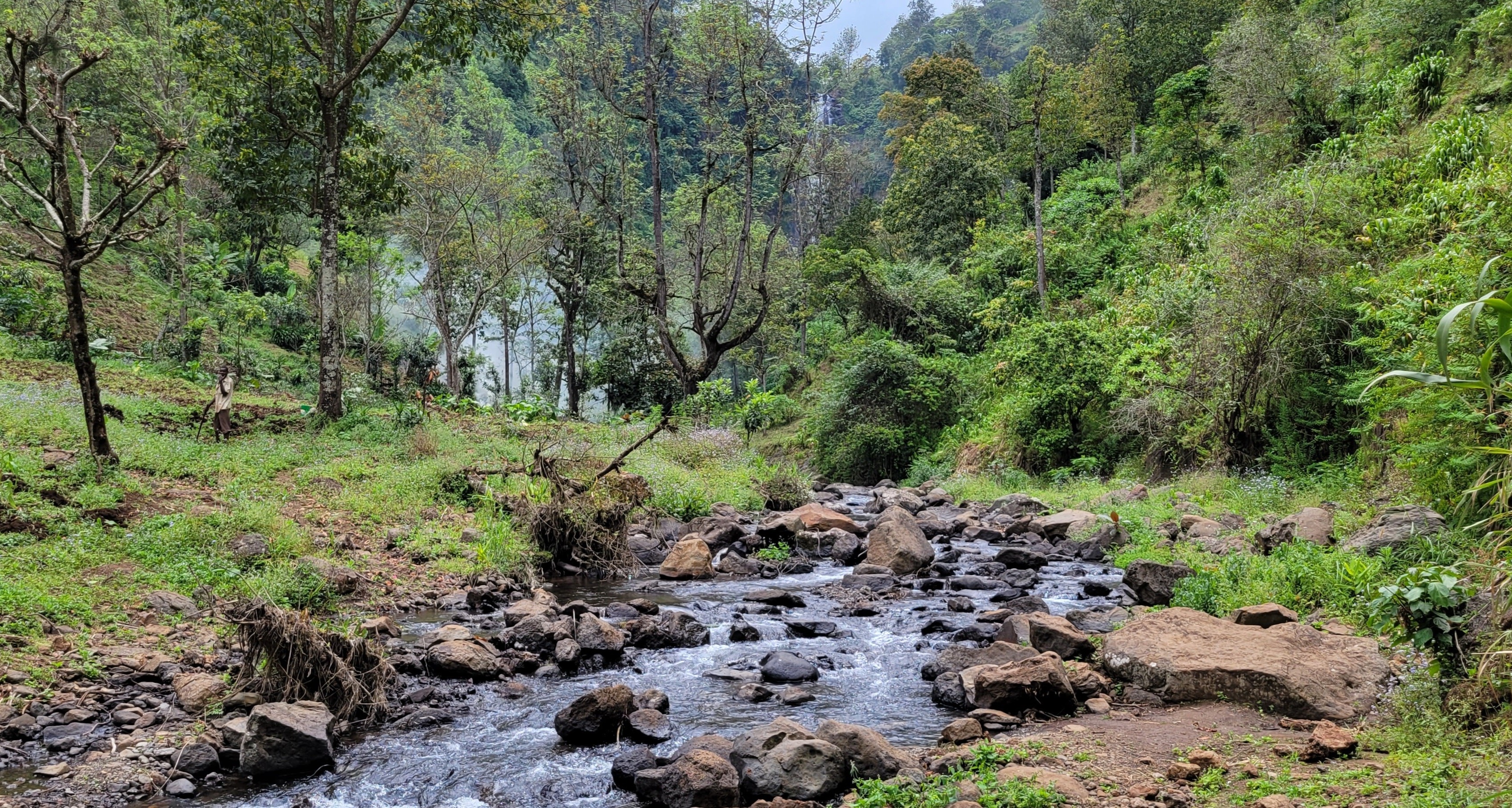 Lucy Lofton. Stream on Materuni Waterfall hike Tanzania