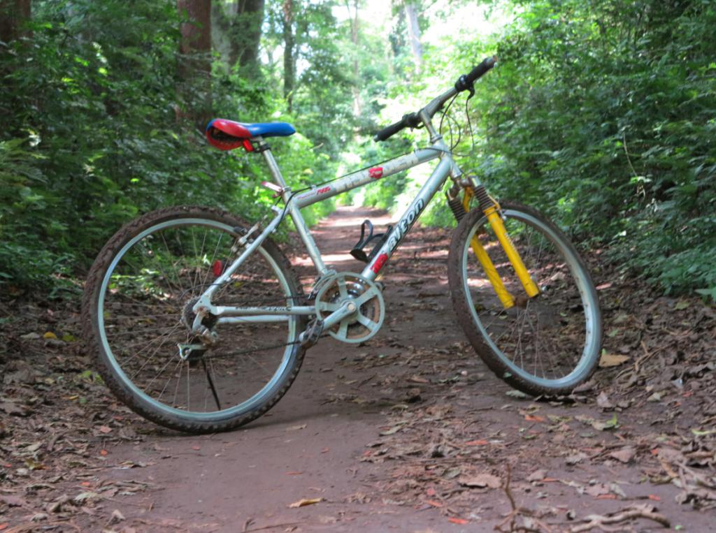 MTB-in-Rau-Forest-Reserve-1024x763.jpg