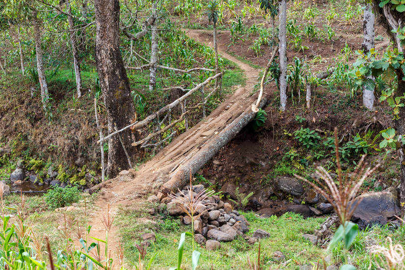 Hike_Materuni_waterfall_Tanzania.jpg