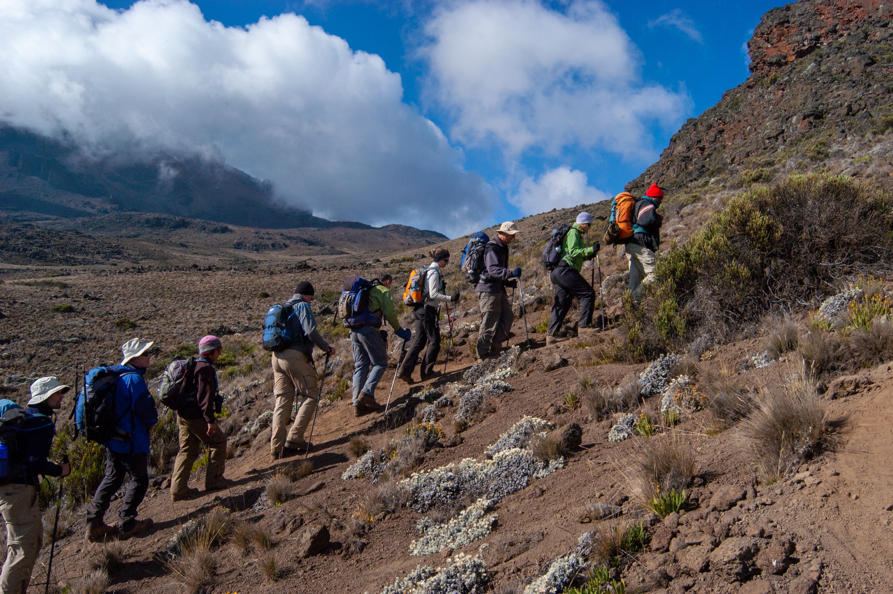Line of trekkers hiking up Rongai route 