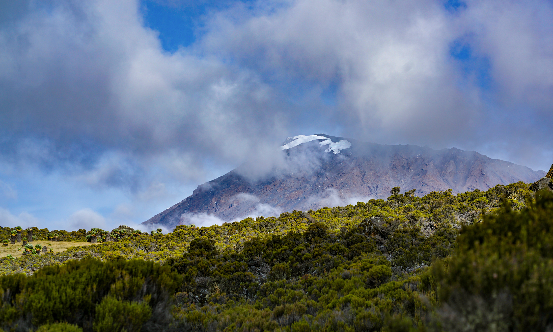 View from Horombo Hut on Marangu and Rongai routes, Kilimanjaro