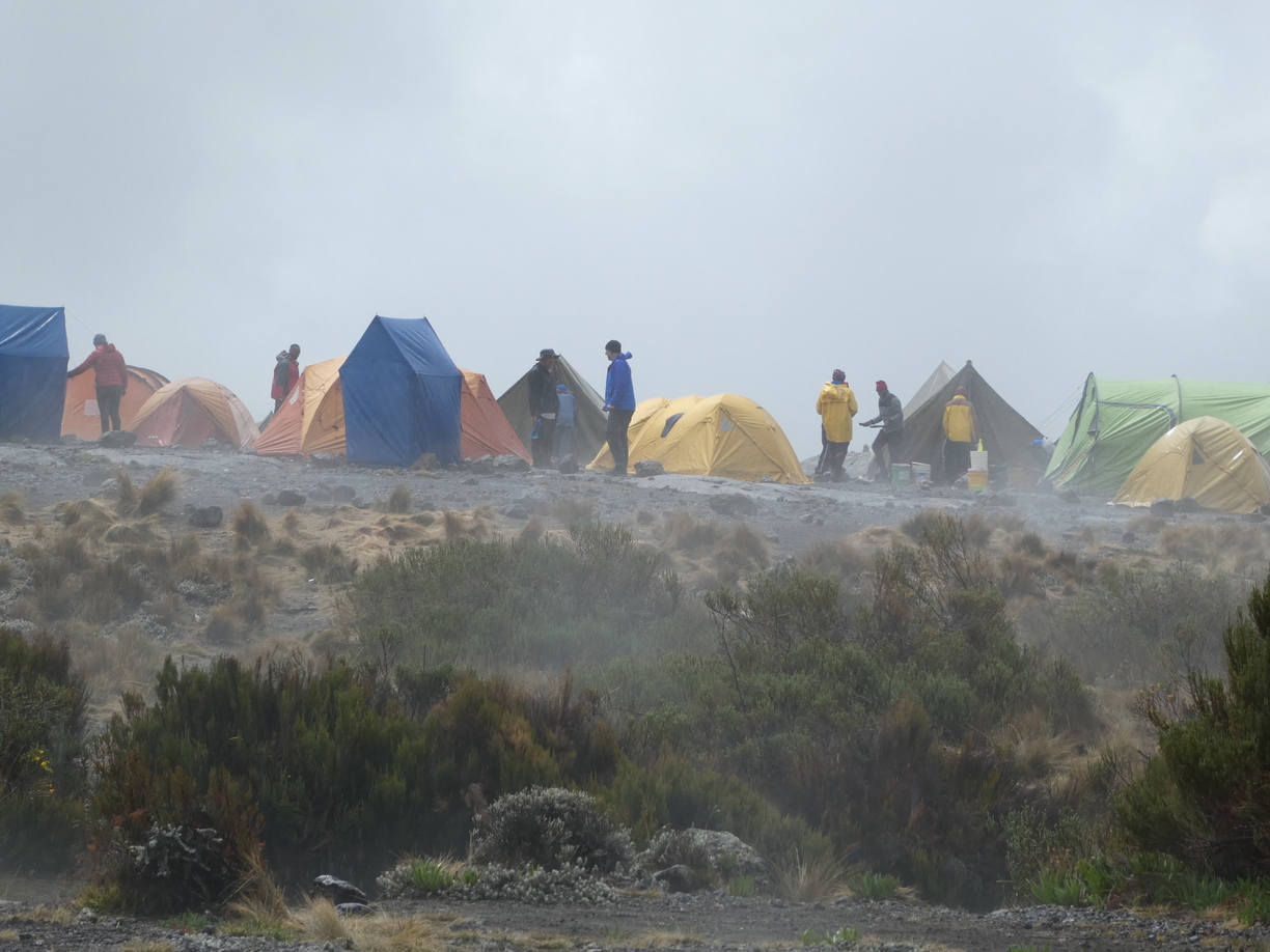 Romy. Misty moorland campsite, Kilimanjaro