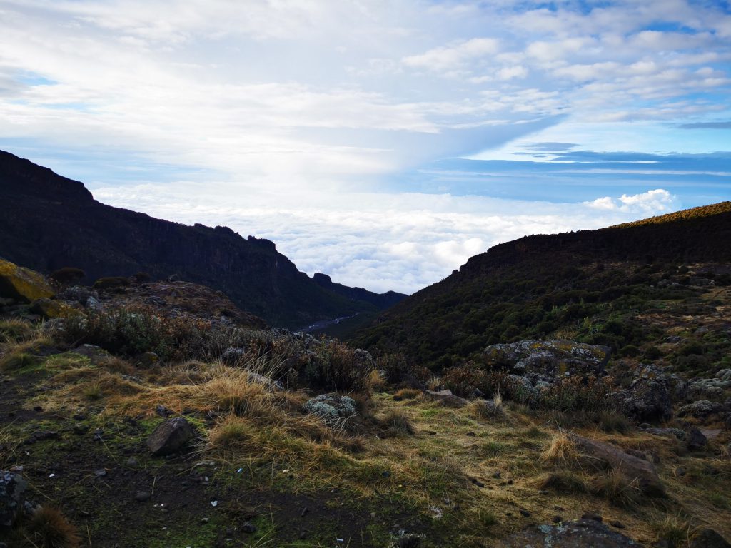 Beautiful-moorland-view-on-Kilimanjaro-1024x768.jpg