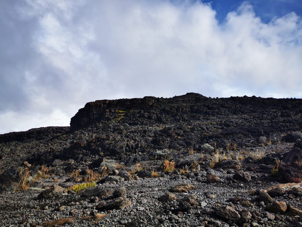 Harsh-landscape-1024x768.jpg