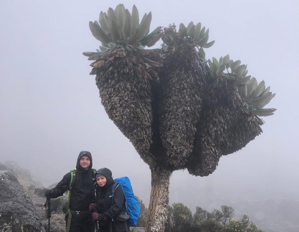 Arwa-and-Matthieu-by-a-giant-groundsel-in-the-mist-2-1024x794.jpg