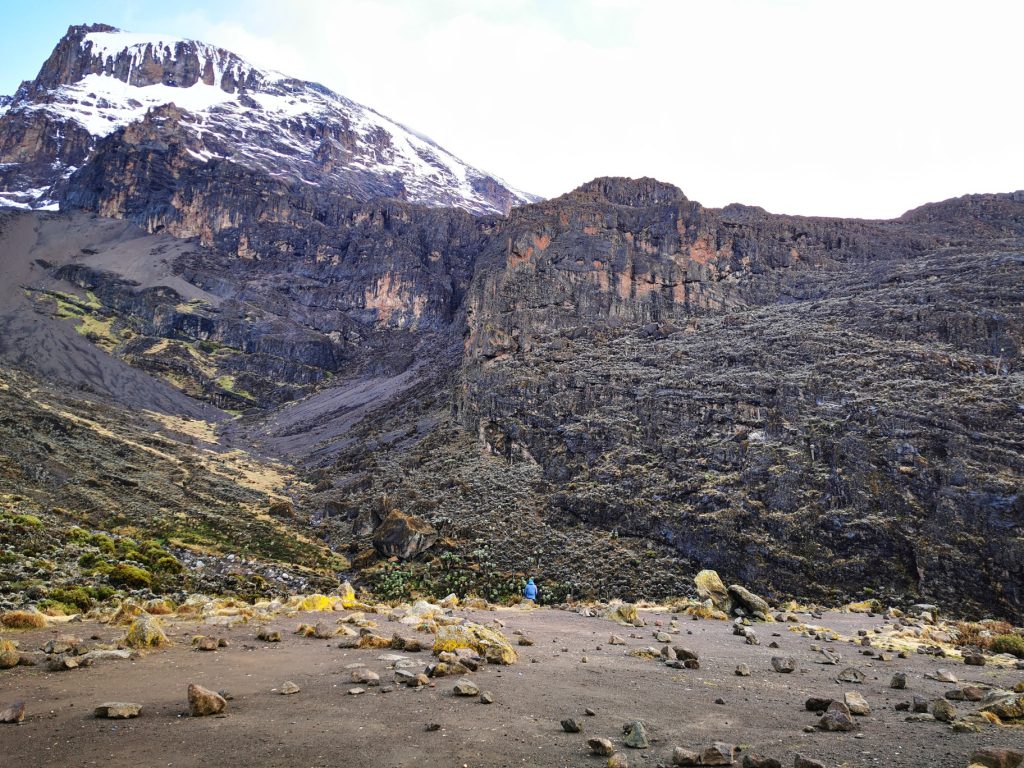 Moorland-zone-landscape-Kilimanjaro-1024x768.jpg