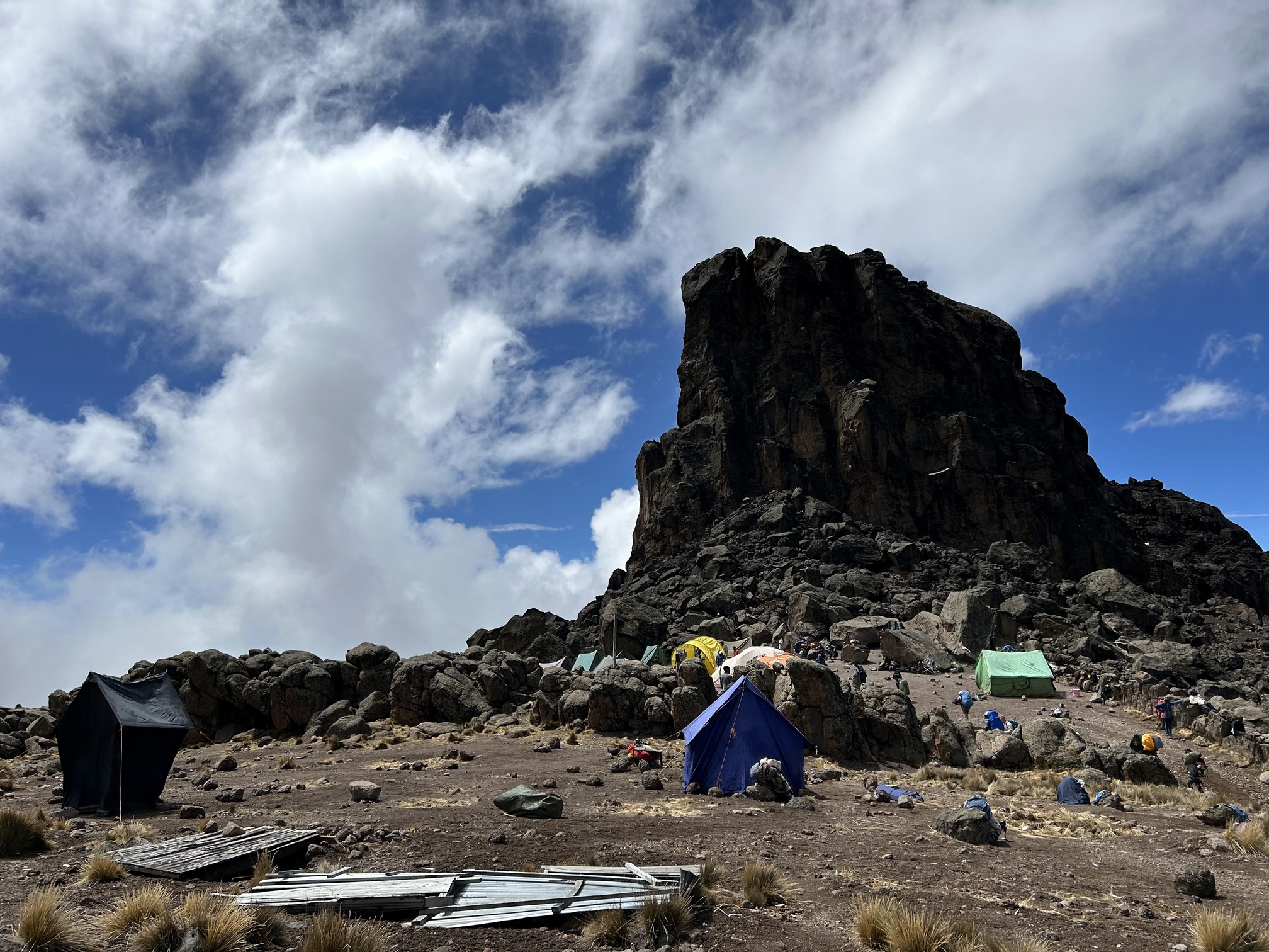 Romy. Lunch at Lava Tower on Kilimanjaro 