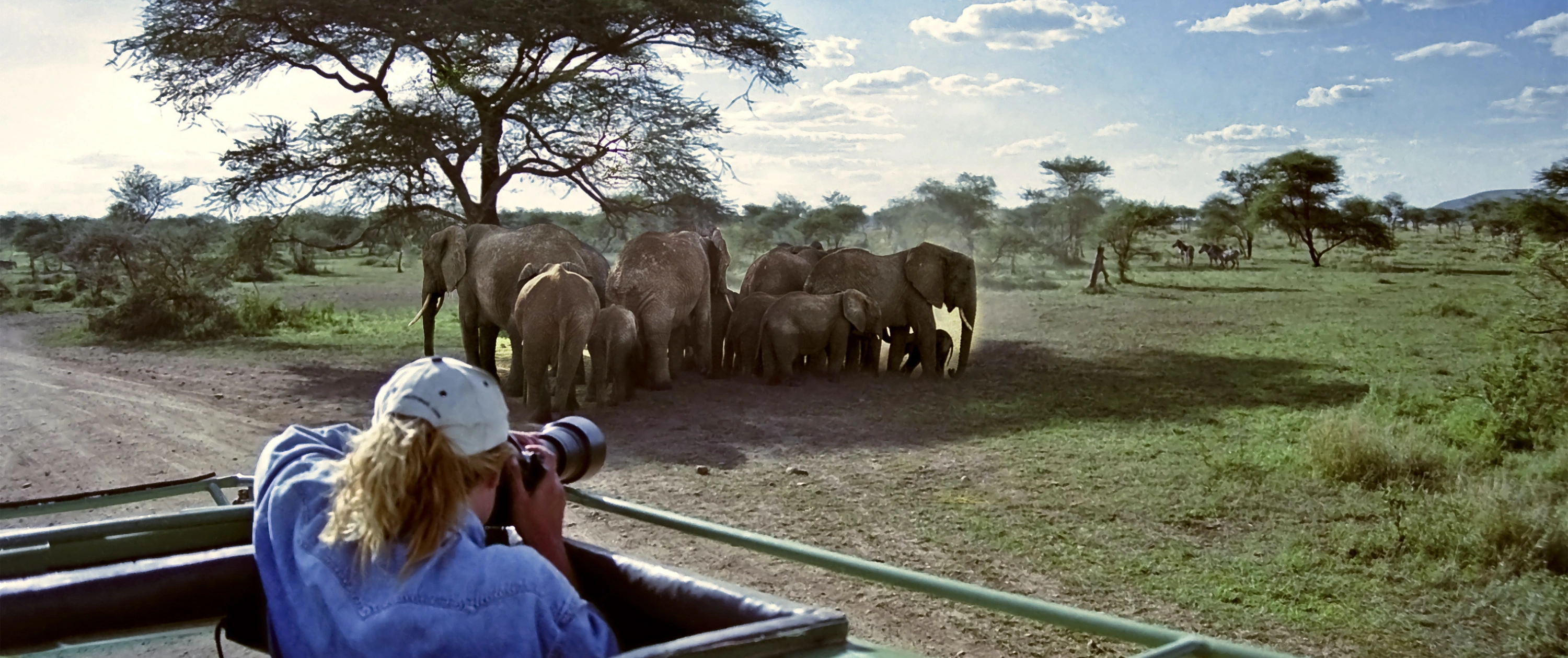 Safari in Tanzania 