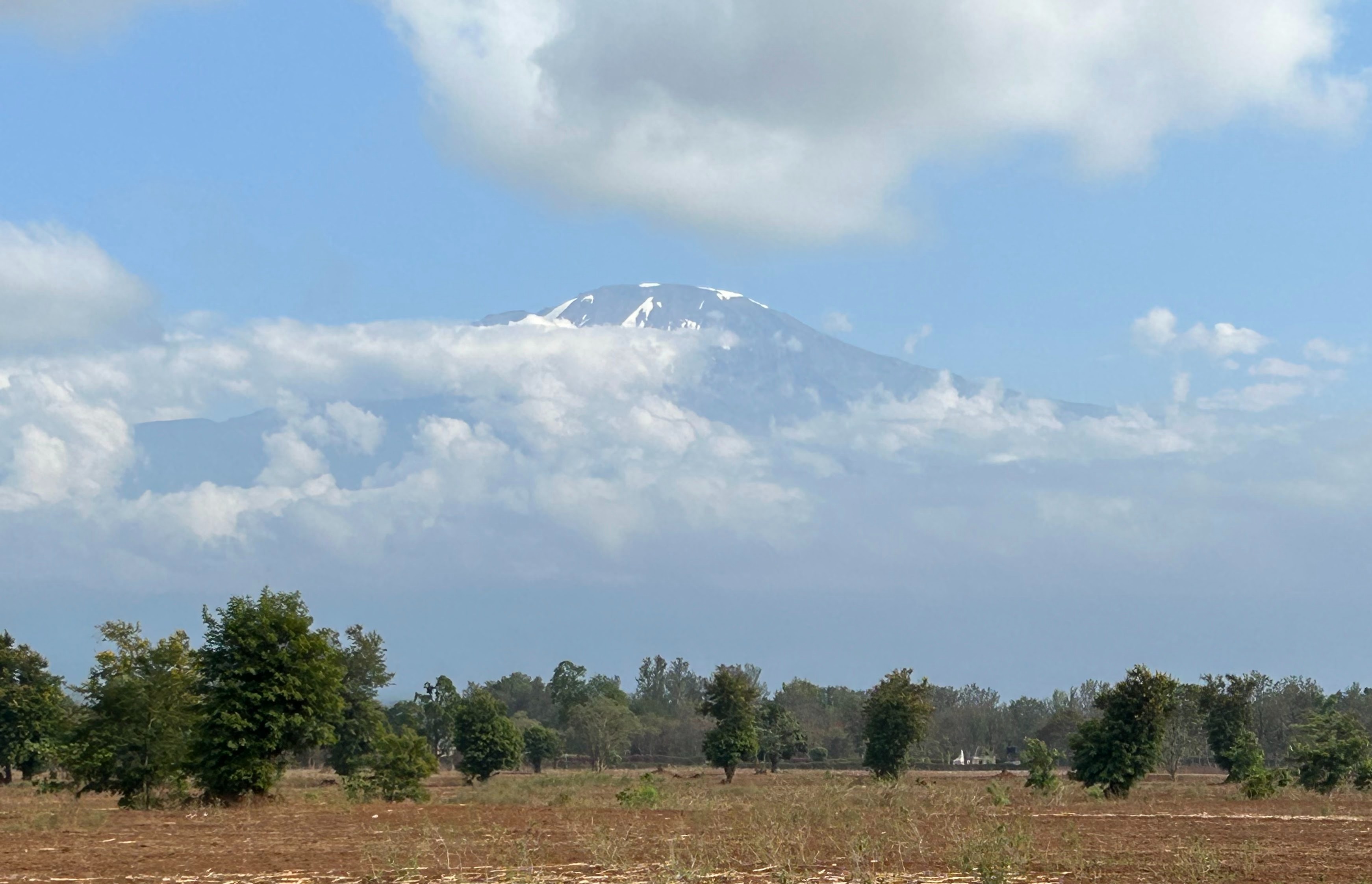 Romy. Mount Kilimanjaro