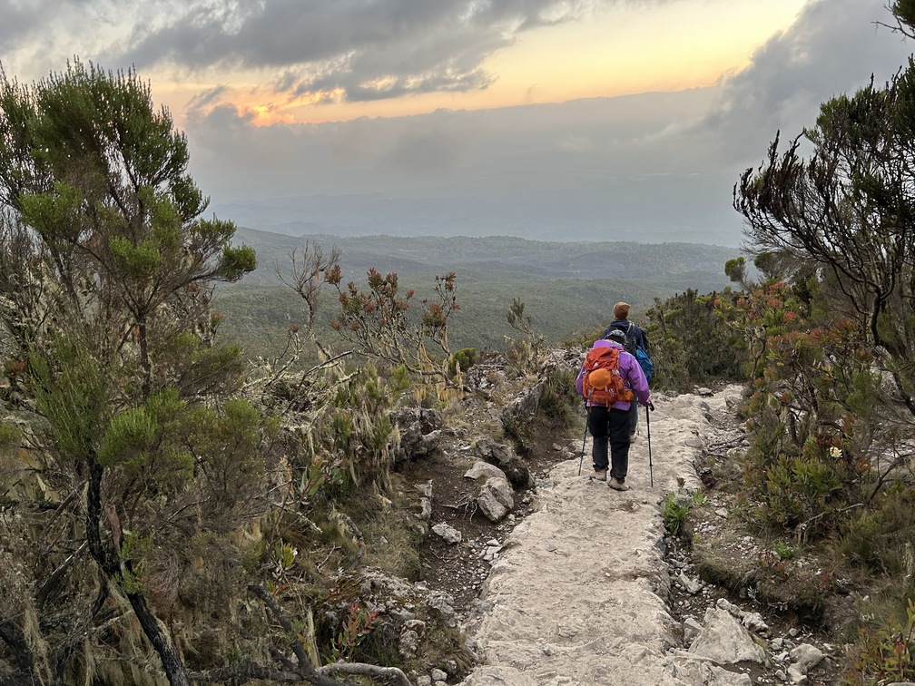 Romy. Mweka Route descent 1 January 2023 Kilimanjaro forest