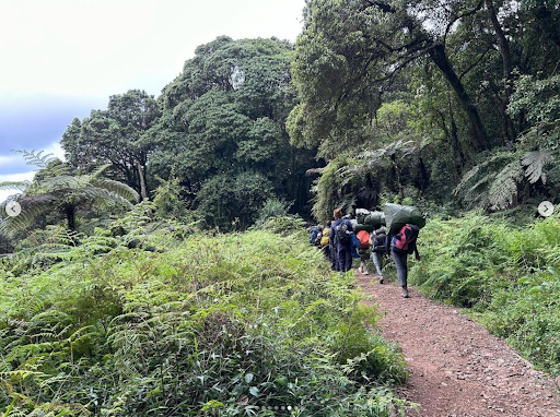 Romy, Mweka route descent on Kilimanjaro rainforest