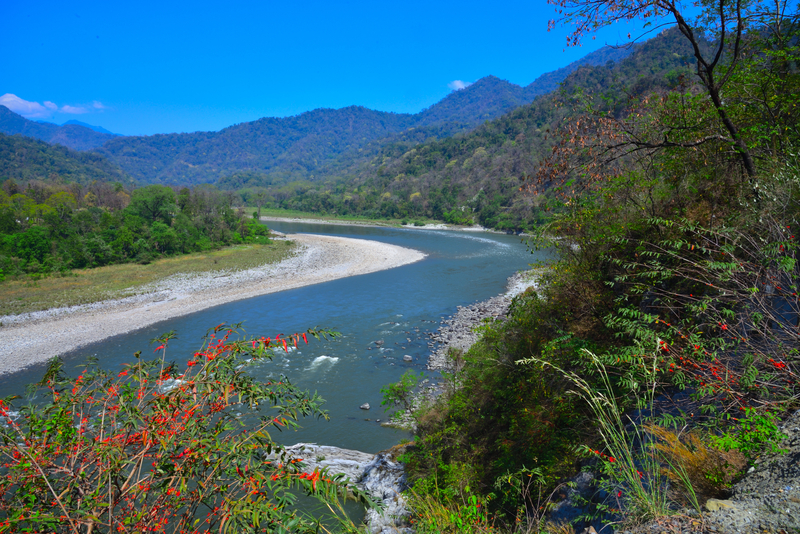 Ours. Manas River flows from Bhutan into India