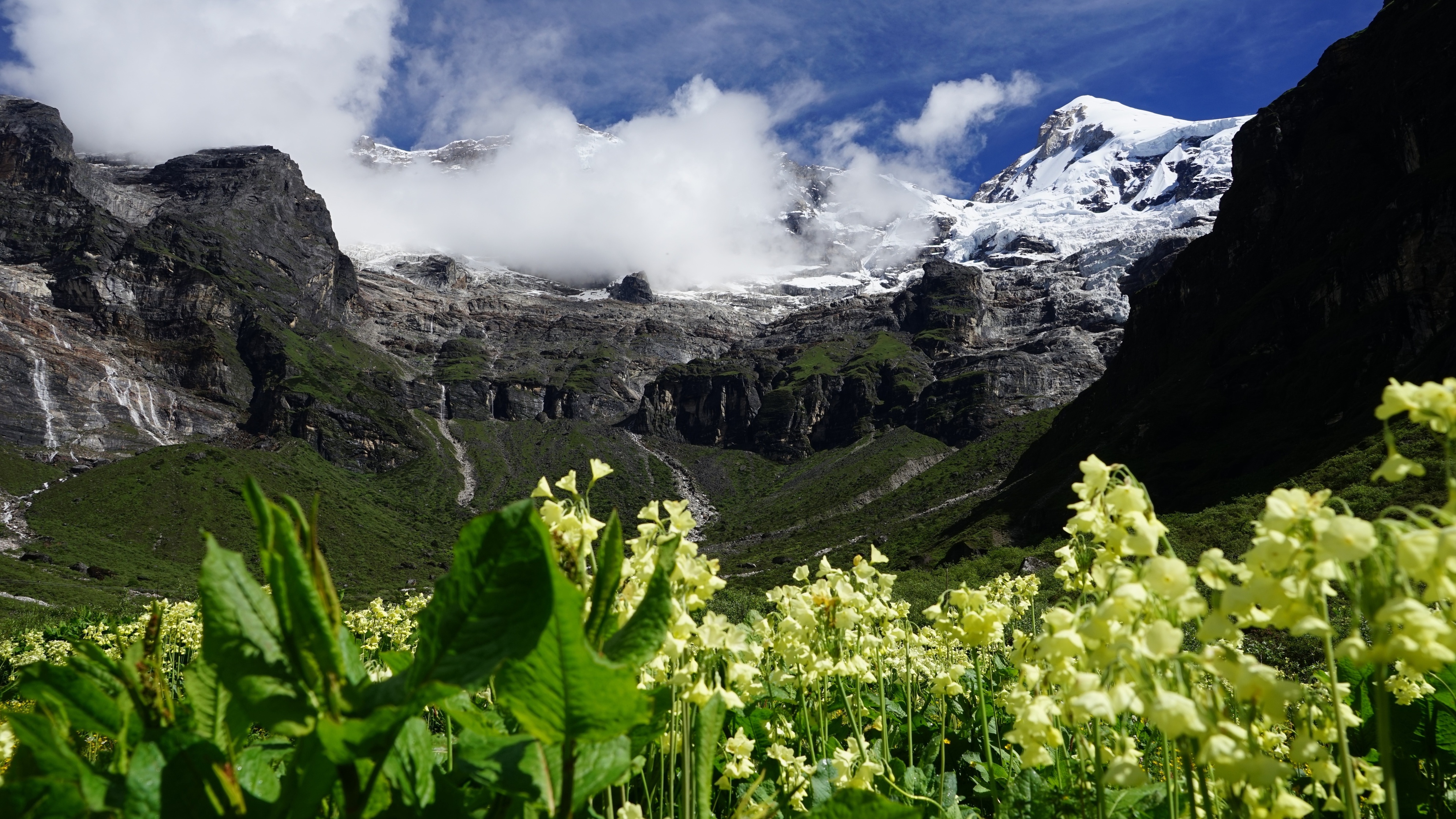Pur. View of Jomolhari in spring with flowers, Bhutan