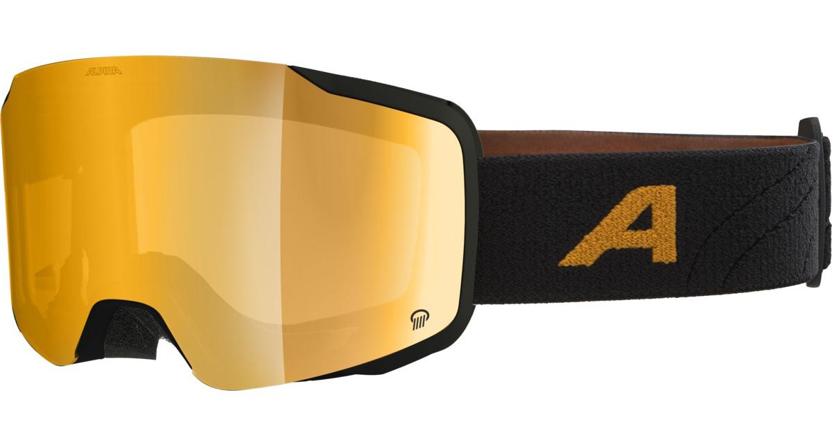 Alpina Sports ski goggles