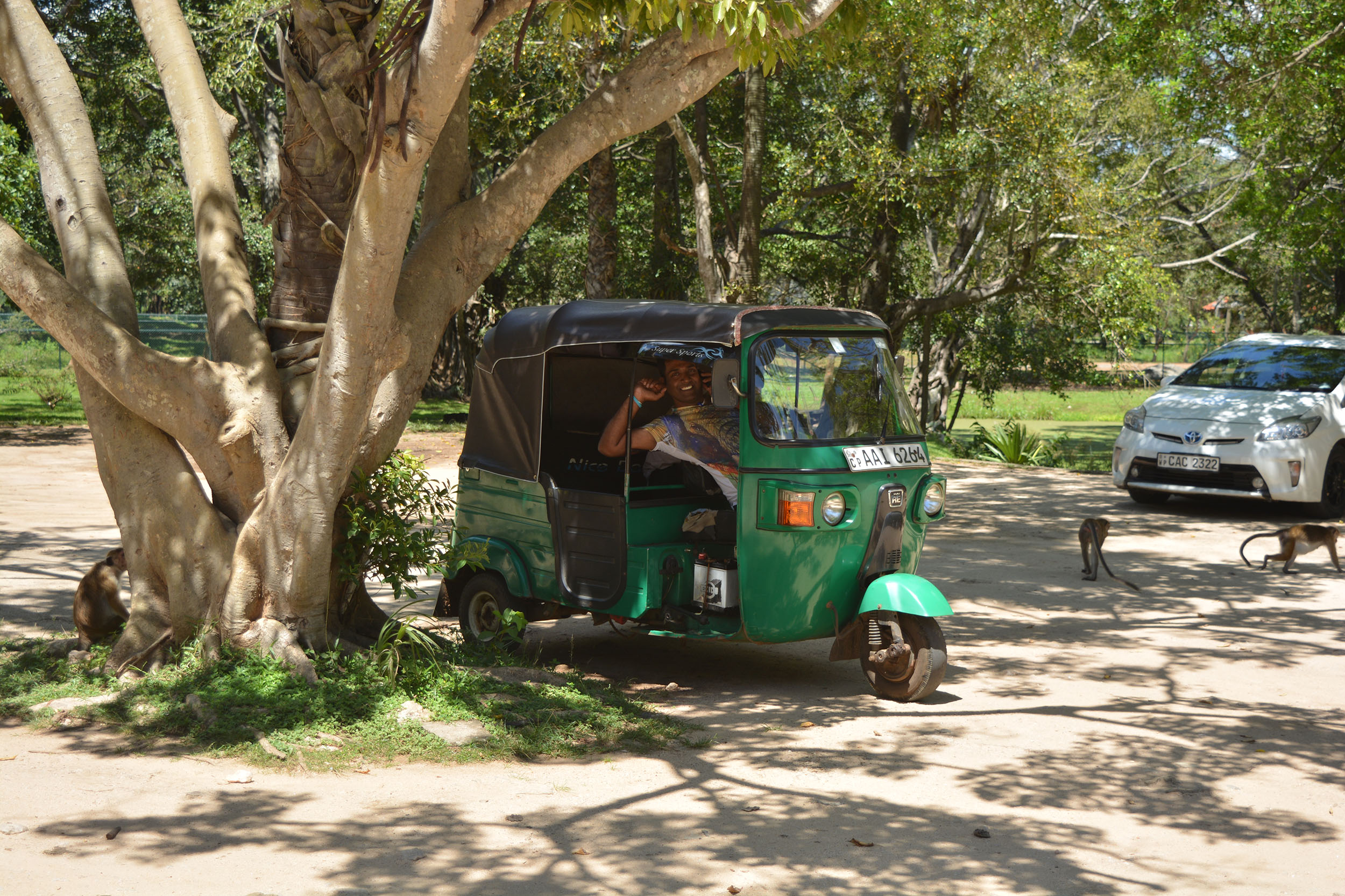 Man-in-Tuc-Tuc-in-Sri-Lanka.jpg
