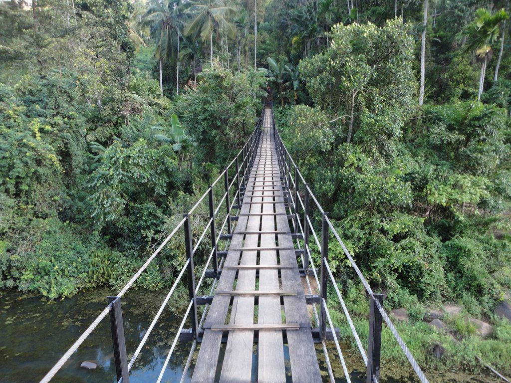 old-bridge-and-rainforest-sri-lanka-1024x768.jpg