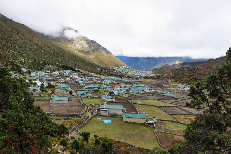 Ours. Khumjung village, Nepal