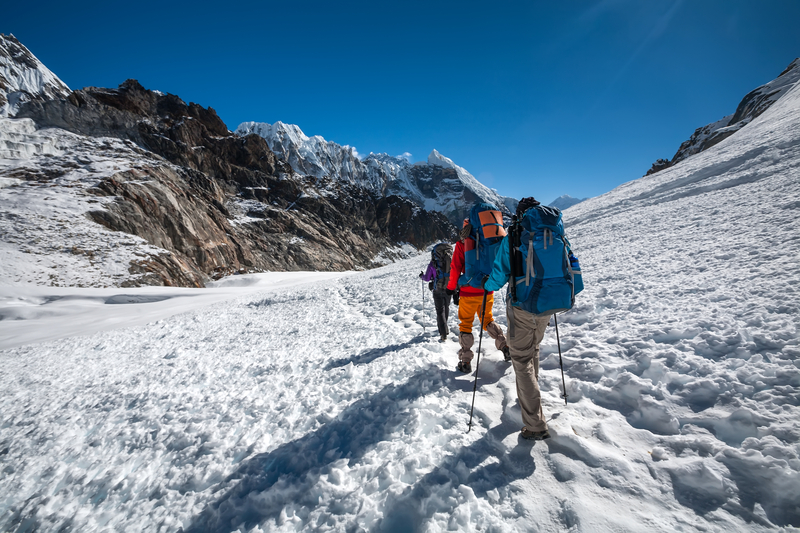 Ours. Cho La on EBC and Gokyo Lakes route, Nepal