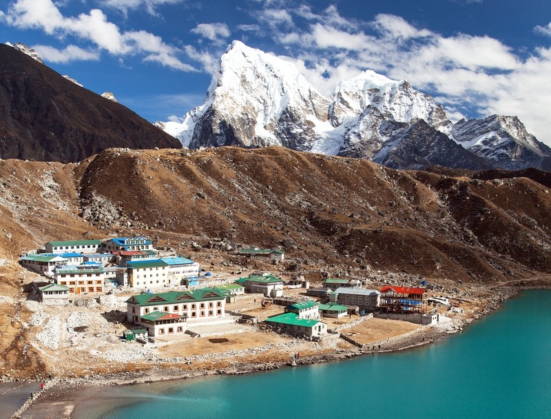 Ours. Gokyo village, EBC trek, Nepal