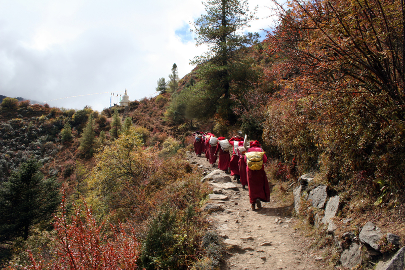 Ours. Sherpa ladies carrying potatoes to Namche Bazaar on EBC trek route