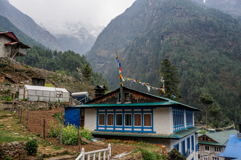 Ours. Teahouse in Monju, EBC trek, Nepal