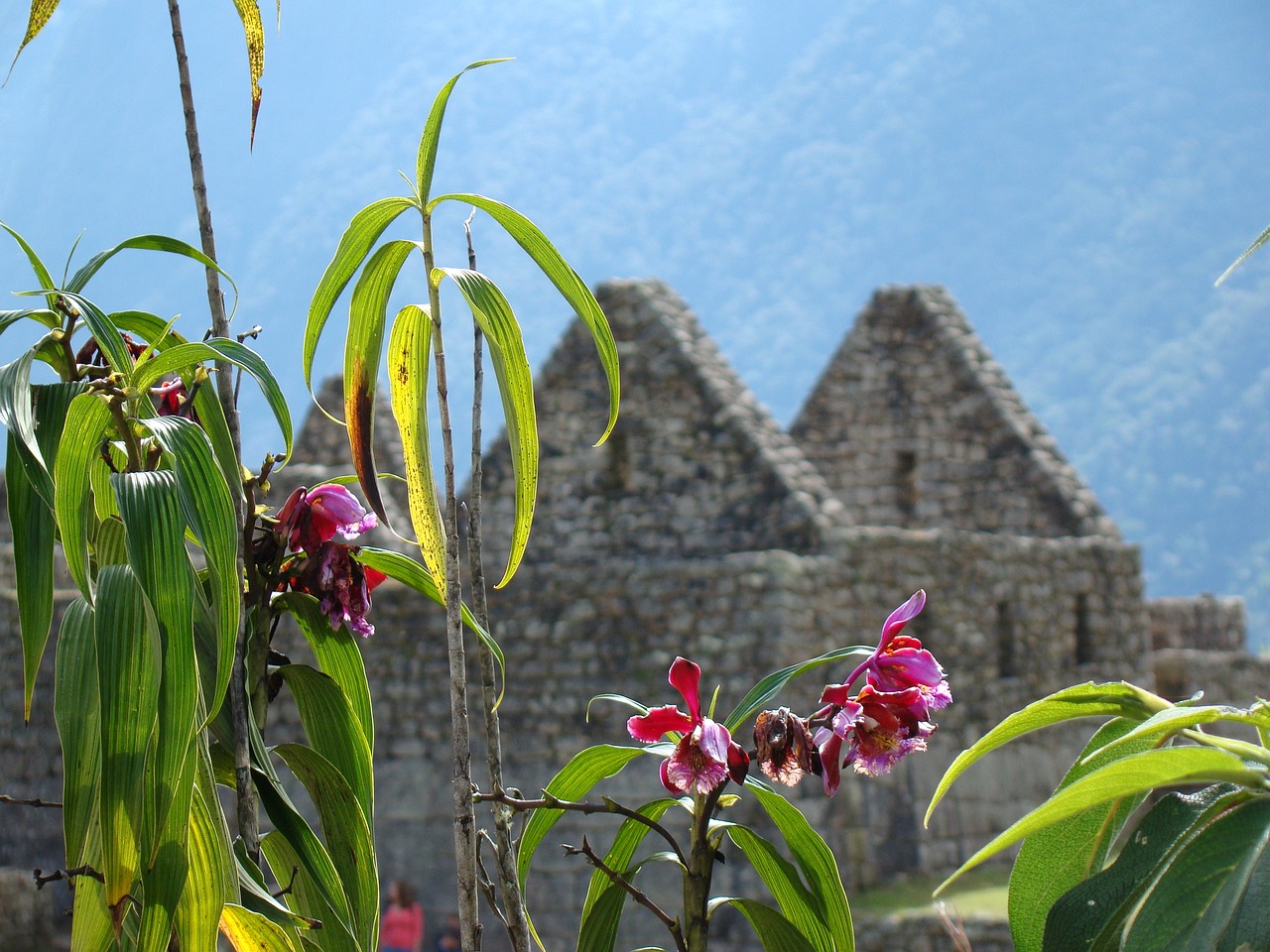 machu-picchu-flowers-and-ruins