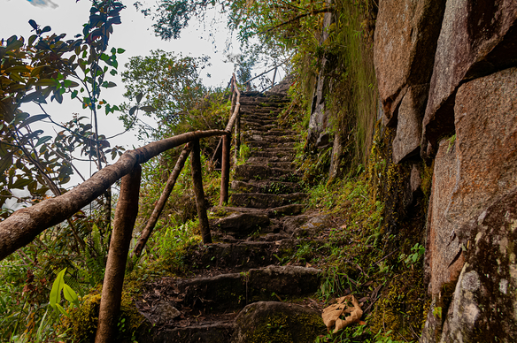 Ours. Stone staircase on the Inca trail, Peru