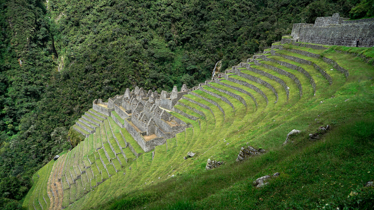 Ours. Wiñay Wayna ruins on Inca Trail, Peru