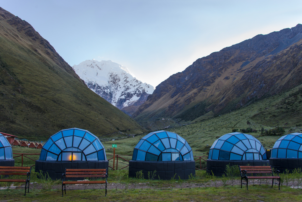 Ours. Salkantay Trek Sky Domes, Peru