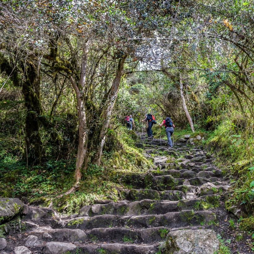 Ours. Inca Trail steps and trekkers with trekking poles 