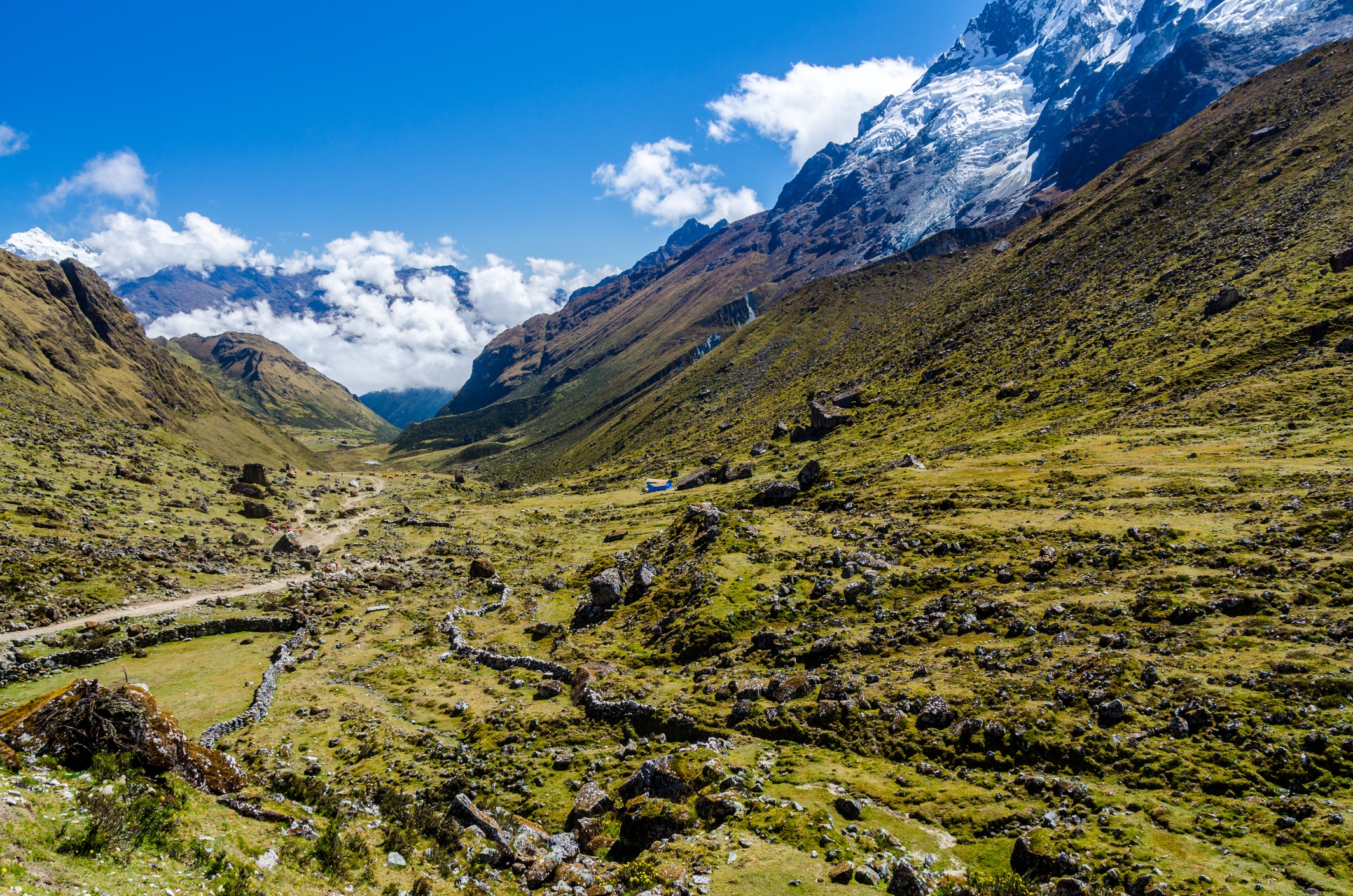 Ours. Springtime view of Salkantay Trek route, Peru, Andes